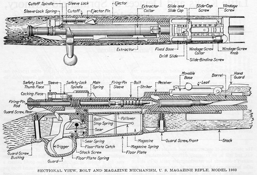 Schematic view of the Model 1903